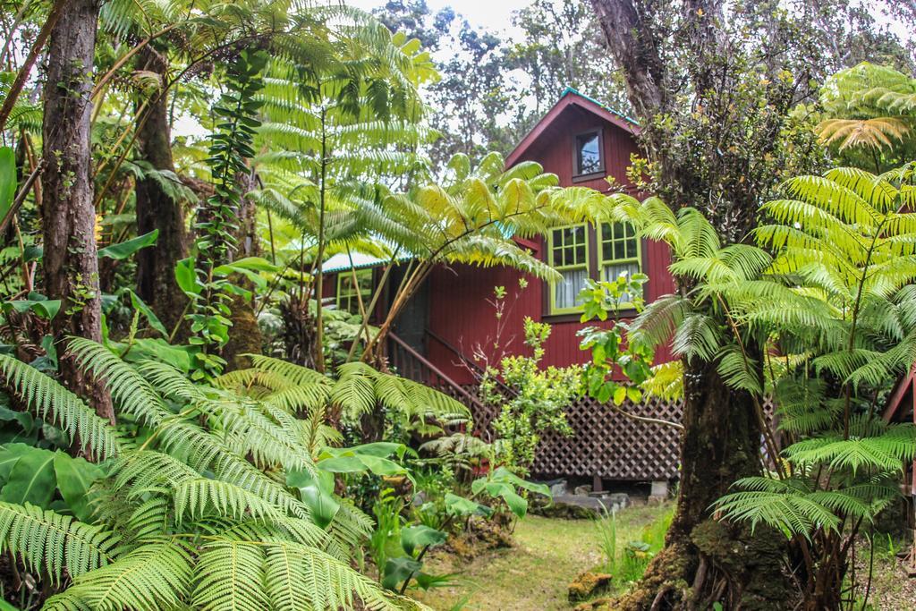 Ferny Hollow: Romantic Rainforest Cottage Volcano Exterior foto